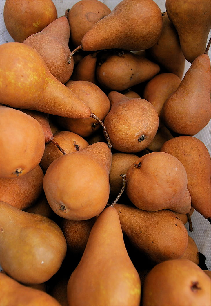 Bosc, Pear phone wallpaper