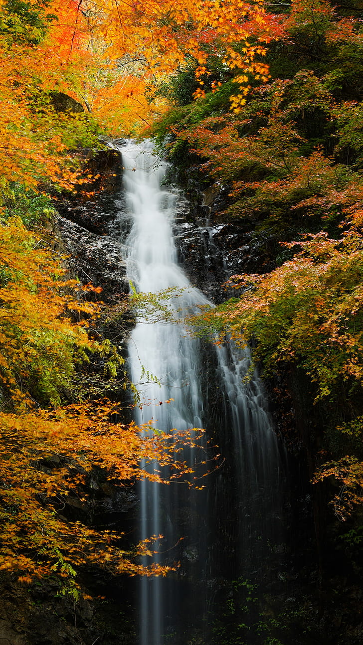 fall, nature, waterfall phone wallpaper