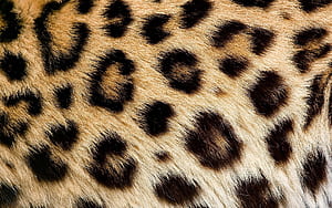 Texture, Abstract wallpaper