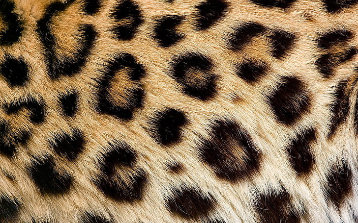 Texture, Abstract wallpaper