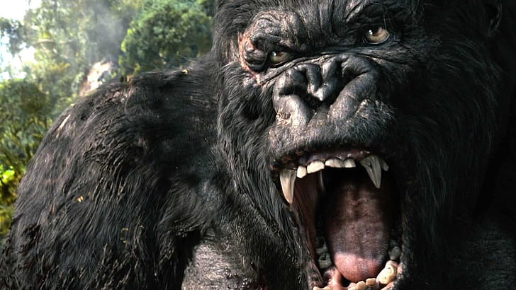 King Kong,  , wallpaper