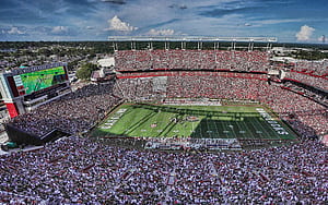 Williams-Brice Stadium, Gamecocks wallpaper