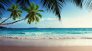 Seychelles , Backgrounds wallpaper