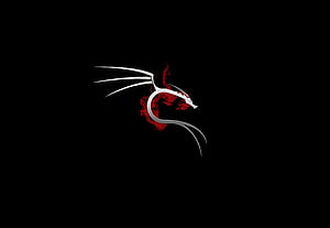 Kali Linux , kali-linux, ubuntu, linux, logo, computer wallpaper