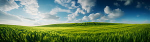 Windows Xp , windows, windows-xp, computer wallpaper