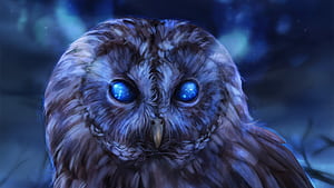 Bared Owl, owl, birds, artist, artwork, digital-art, deviantart wallpaper