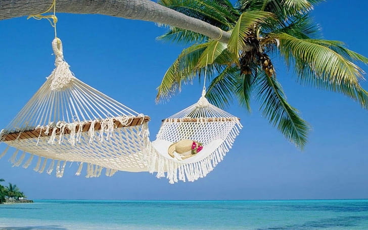 Hammock, Summer wallpaper