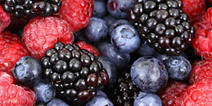 Berries, , wallpaper