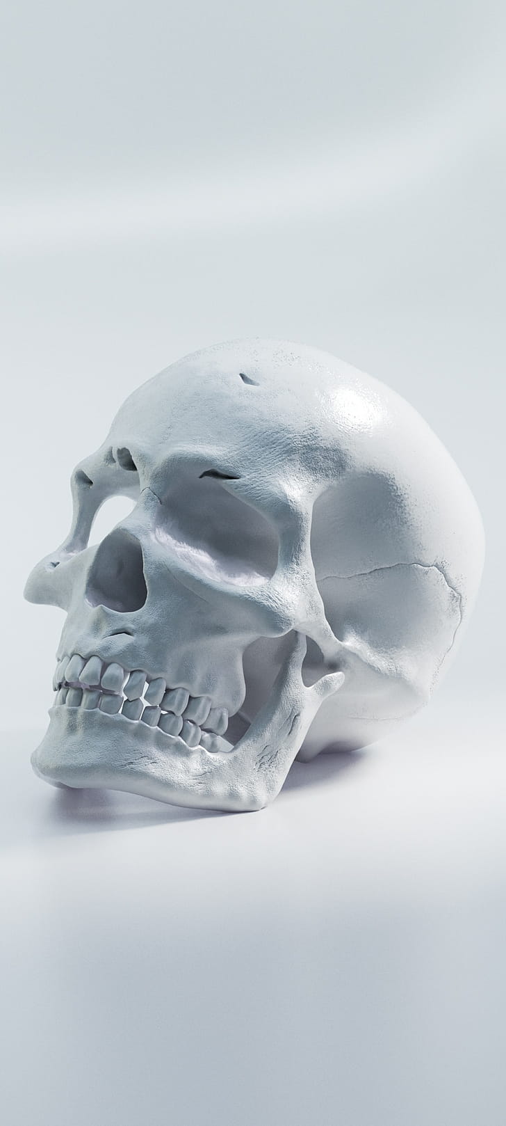 dark, skull phone wallpaper