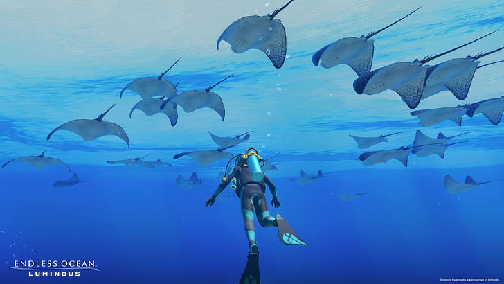 Endless Ocean wallpaper