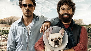 Due Date, , Background wallpaper
