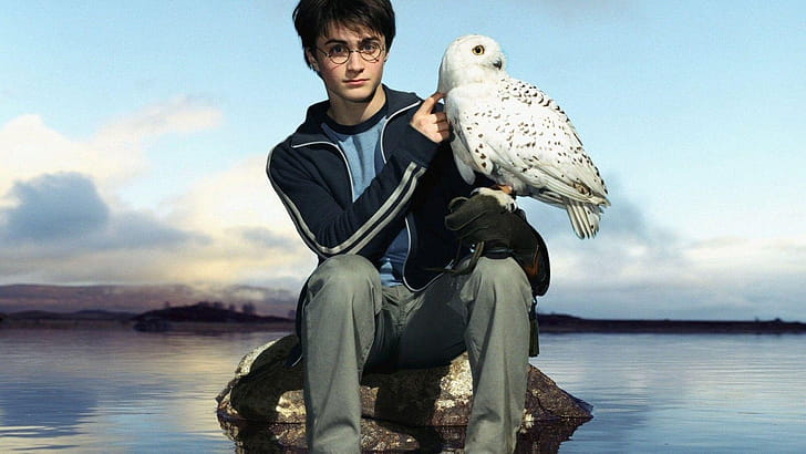Hedwig, wallpaper