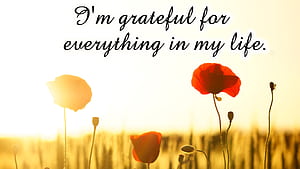 Affirmation, Gratitude wallpaper