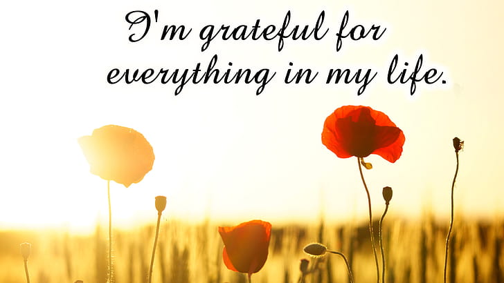 Affirmation, Gratitude wallpaper