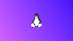 Linux Tux Minimal , linux, computer, minimalism, minimalist wallpaper