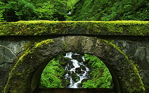 Bridge wallpaper