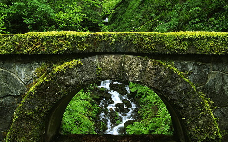 Bridge wallpaper