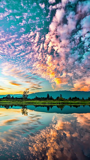 nature, reflection phone wallpaper