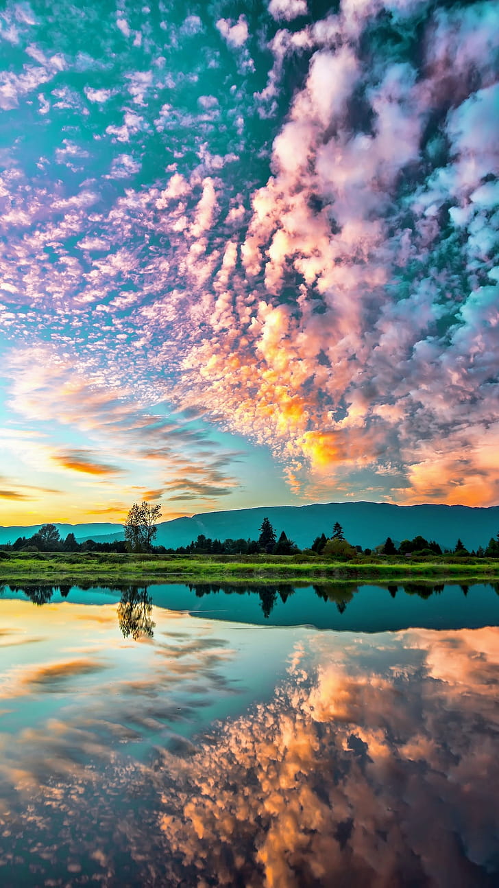 nature, reflection phone wallpaper