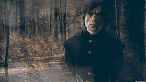 Tyrion Game Of Thrones Season 6, tv-shows, game-of-thrones wallpaper