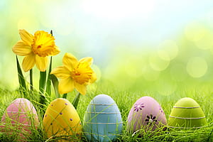 Holiday Easter Egg, easter, eggs, celebrations wallpaper