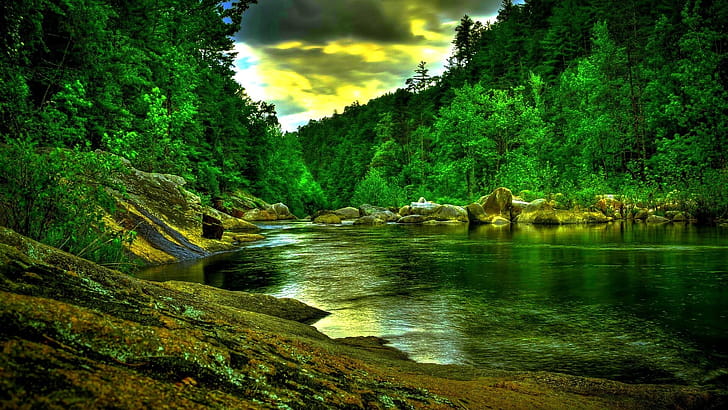 River, Go Green wallpaper