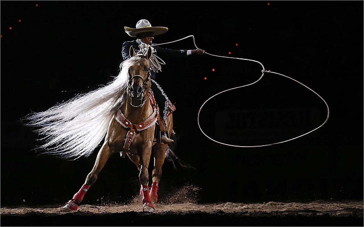 Flank strap, Rodeo wallpaper