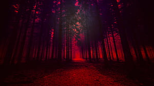 Artistic Red Forest, artistic, red, forest, nature wallpaper