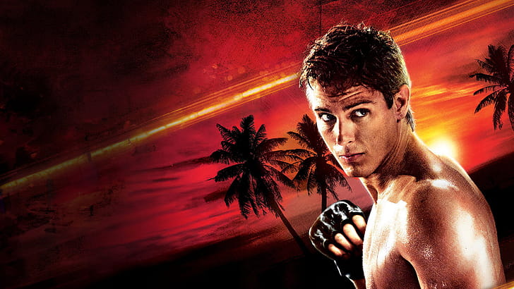 Never Back Down — Sunset Fighter wallpaper