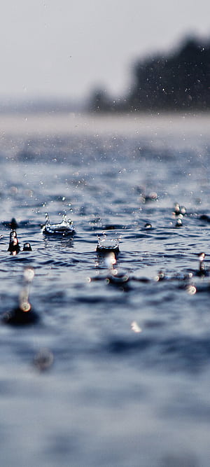 graphy, rain phone wallpaper