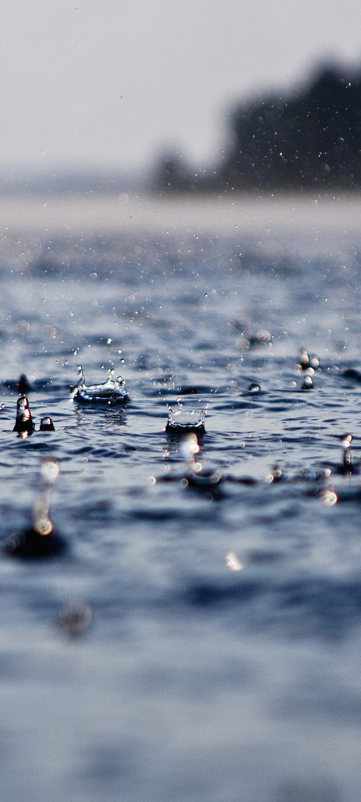 graphy, rain phone wallpaper