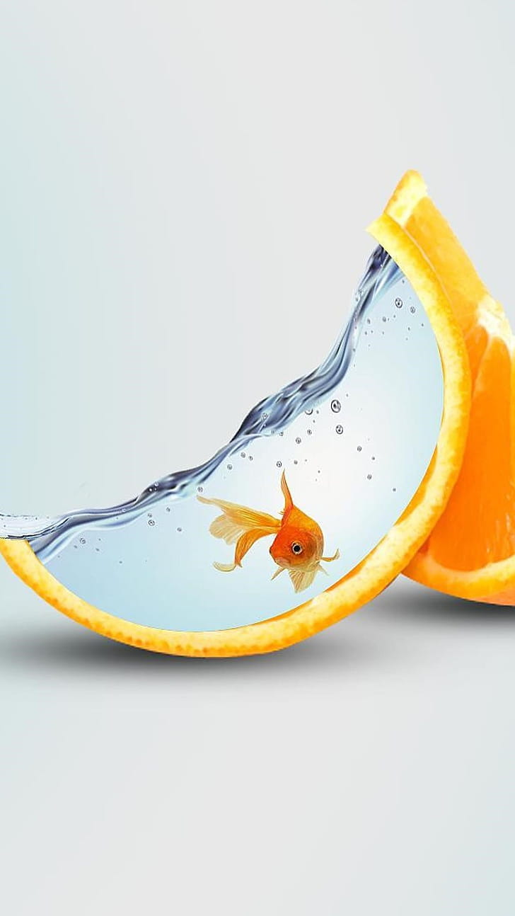 Artwork, Goldfish phone wallpaper