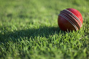 Cricket  , High-quality , Easy access, Convenient wallpaper