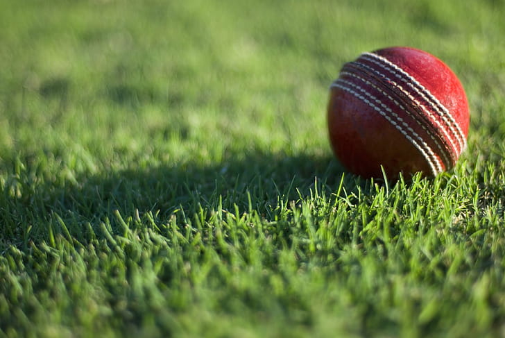 Cricket  , High-quality , Easy access, Convenient wallpaper