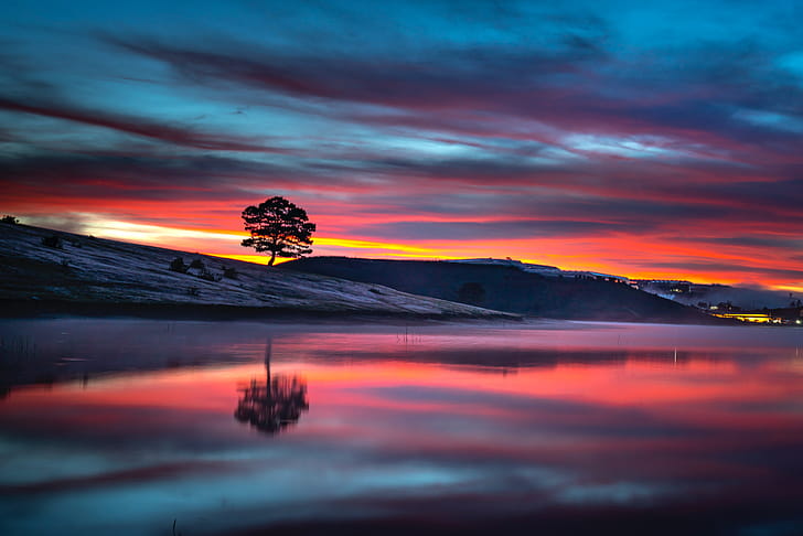 Reflection Tree Body 8k, tree, reflection, nature wallpaper