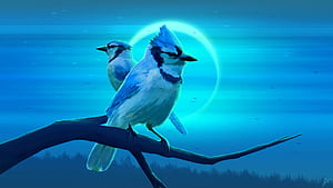 Bluejay Eclipse , birds, artist, artwork, digital-art, deviantart wallpaper