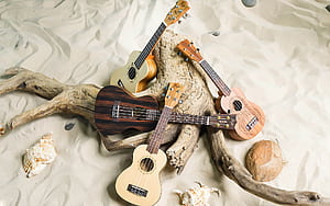 Flight, Ukulele wallpaper