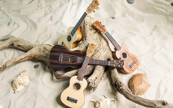 Flight, Ukulele wallpaper