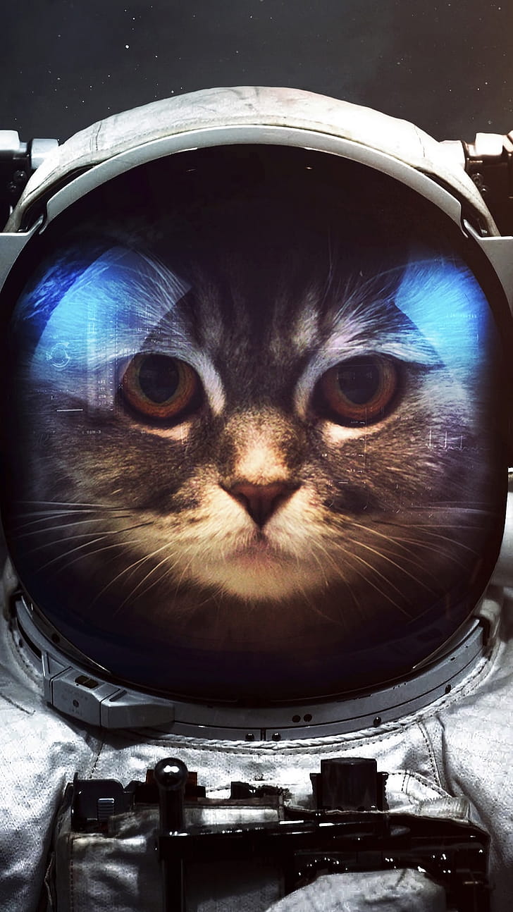 cat, Sci Fi, astronaut phone wallpaper