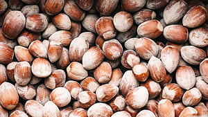 Hazelnuts, Ultra ,  background, Widescreen wallpaper
