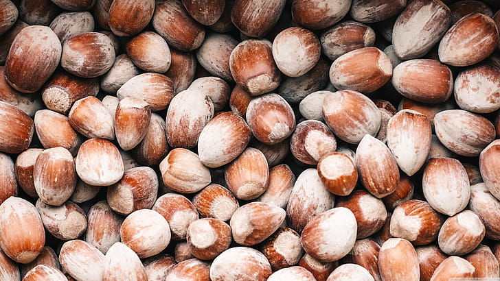 Hazelnuts, Ultra ,  background, Widescreen wallpaper