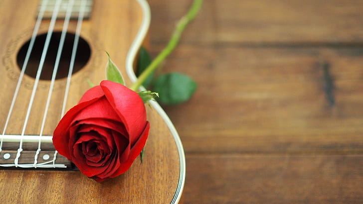 Rose, Ukulele wallpaper