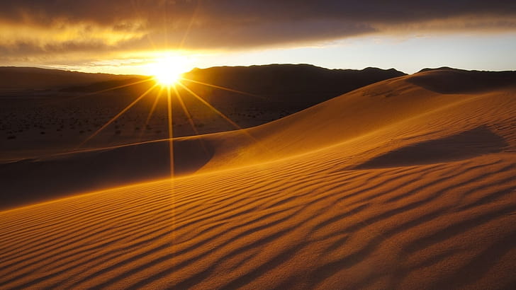 Captivating sun rays, Full  desert wallpaper