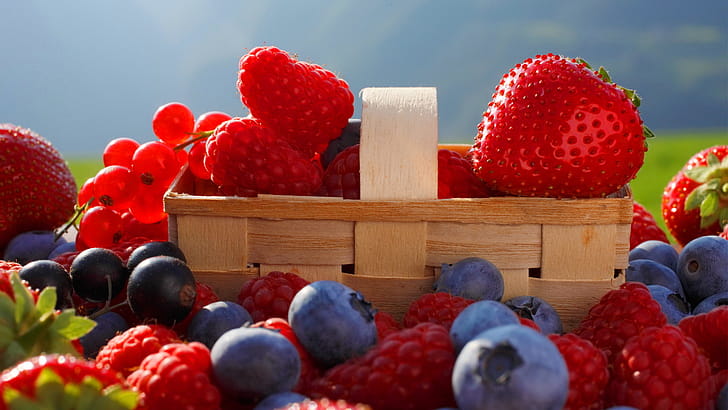 Berries , Background wallpaper
