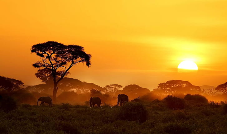 computer backgrounds, Stunning , High-resolution, Visual delight wallpaper