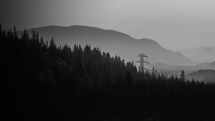 Black white wallpaper