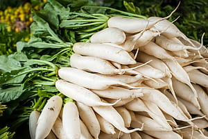 Daikon radish, Food wallpaper