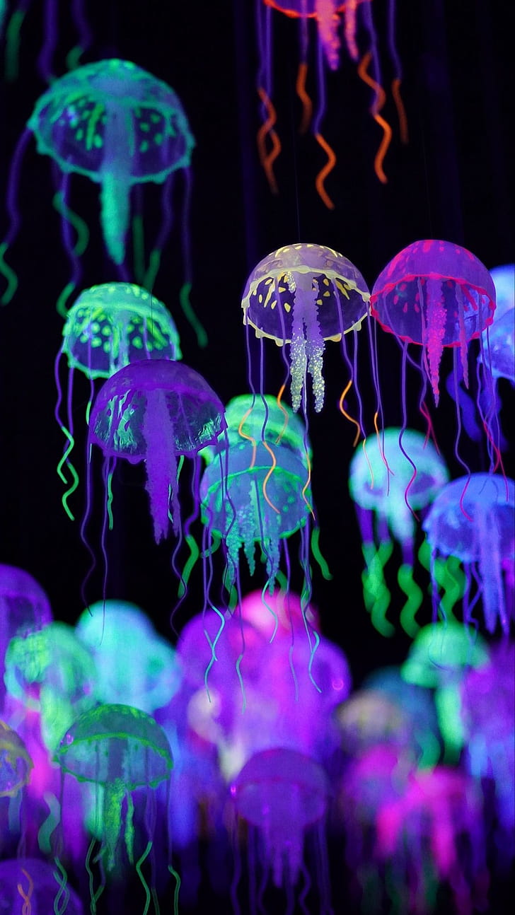 Neon, Jellyfish phone wallpaper