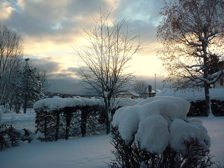 Snow,  , Winter wallpaper