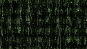 The Matrix Typography, matrix, computer, typography, hacker, ubuntu, linux, terminal wallpaper